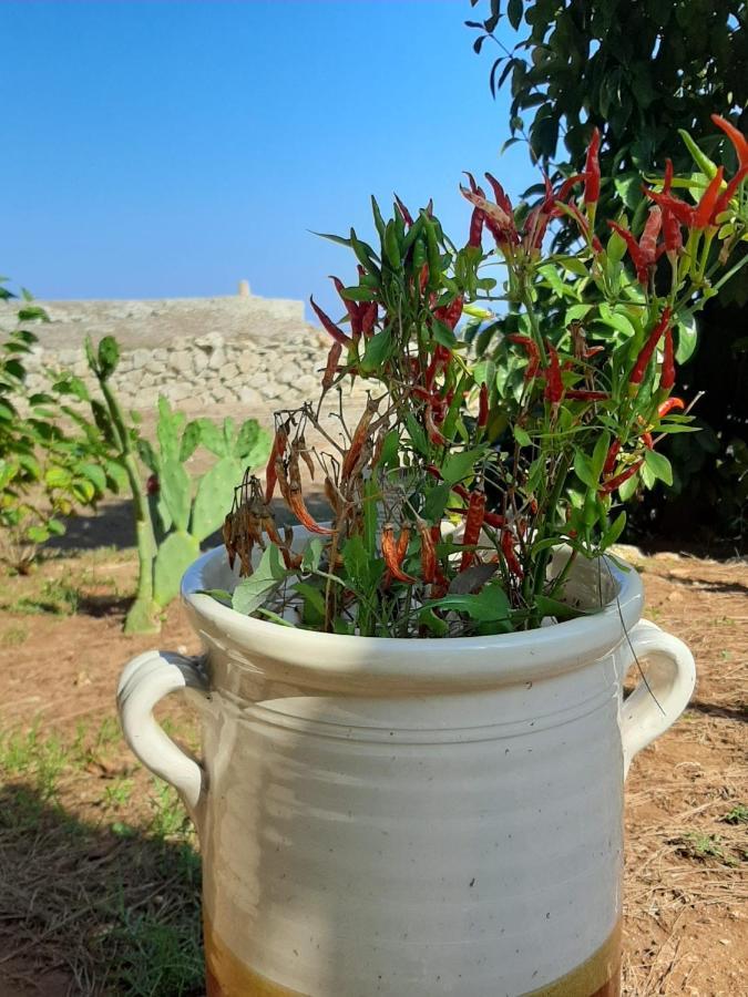 Tenuta L'Alba Di Monte Matino Otranto Dış mekan fotoğraf