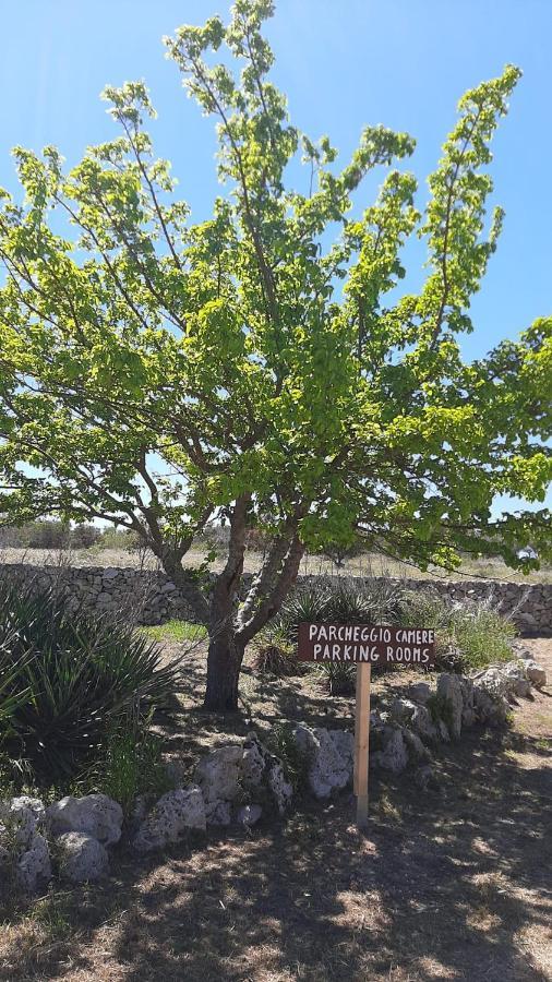 Tenuta L'Alba Di Monte Matino Otranto Dış mekan fotoğraf