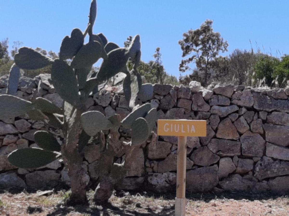 Tenuta L'Alba Di Monte Matino Otranto Dış mekan fotoğraf